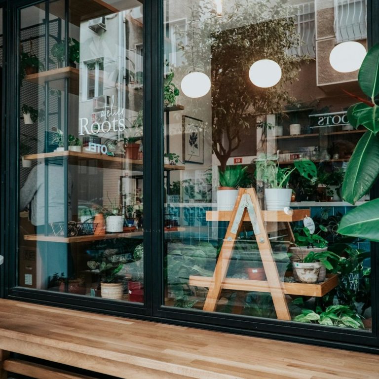 Pflanzen und Dekorationen in einem stilvollen Fenster eines Blumengeschäfts.